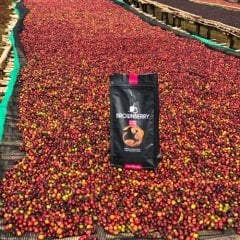 Etiyopya Sidamo Gr4 Kavrulmuş Kahve Standart Kavrum(Standard Roast) - Çekirdek - Bean - 250 Gr