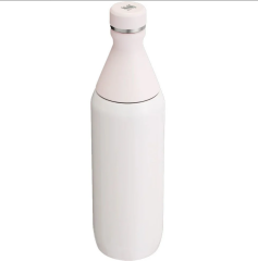 Stanley The All Day Slim Soğuk Su Şişesi 0,60 LT
