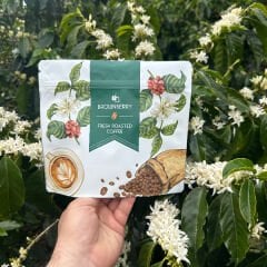 Honduras La Valentina- Honey Çekirdek - Bean - 250 Gr