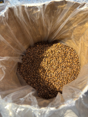 Etiyopya Sidamo Gr2 Kavrulmuş Kahve 15 kg