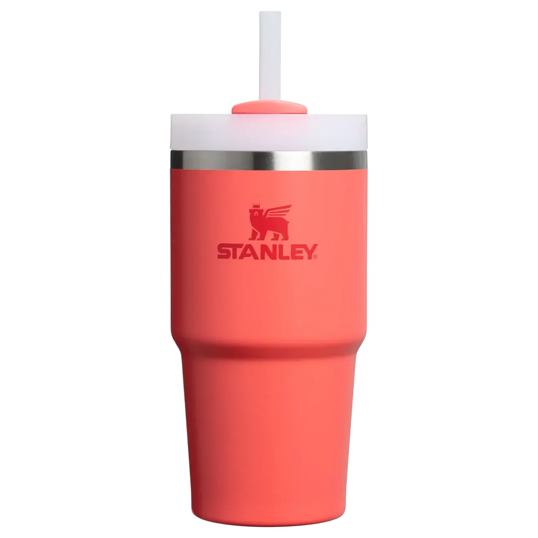 Stanley Quencher Pipetli Termos Bardak 0.60 Lt Mercan
