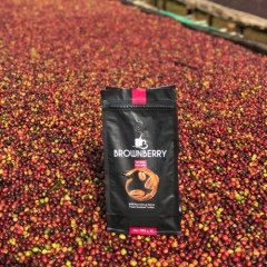 Kahve Etiyopya Sidamo Gr4 15 kg