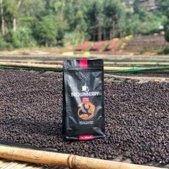 Kahve Etiyopya Sidamo Gr4 15 kg