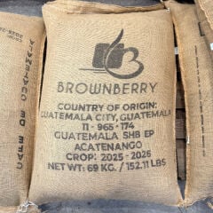Guatemala Arabica