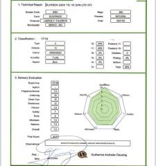 Santos Fine Cup Arabica Kahve