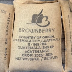 Guatemala Arabica 15 kg Kav. Kahve Çekirdeği