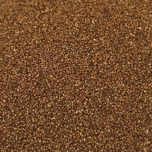 Teff Tohumu 1 Kg