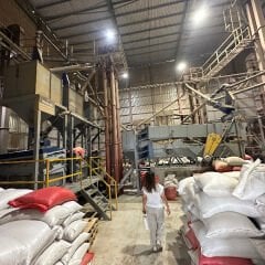 Honduras Marcala Organik Kahve