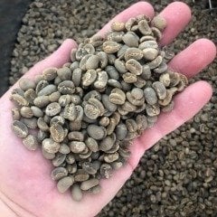 Sumatra Mandheling  Kahve Kavrulmuş