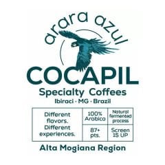 Arara Azul Speciality Arabica Kahve