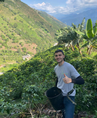 Caturra Chiroso La Reserva Colombia 250 gr