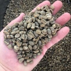 Sumatra GAYO Gr1 15 kg Kav. Kahve Çekirdeği