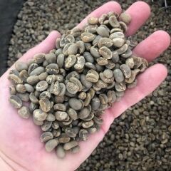 Sumatra GAYO Gr1 15 kg Kav. Kahve Çekirdeği