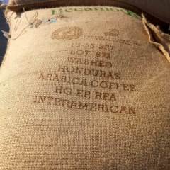 Honduras SHG EP Arabica