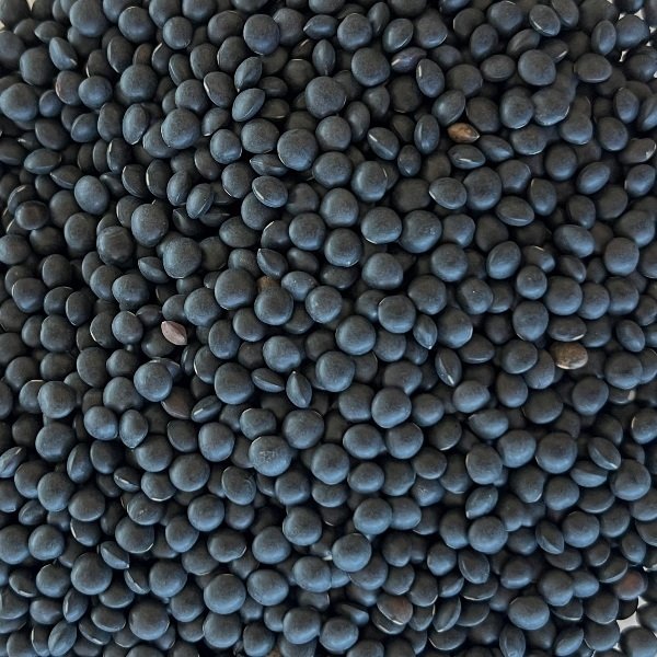 Beluga Mercimek 1 Kg