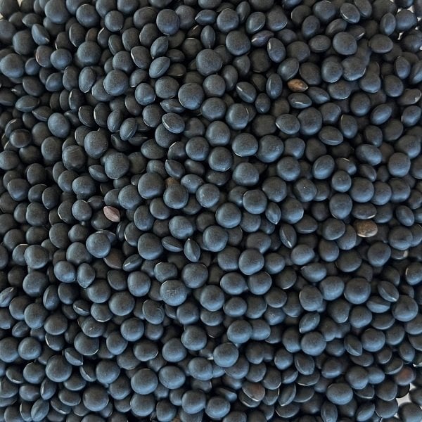 Beluga Mercimek 1 Kg