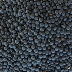 Beluga Mercimek 1 Kg