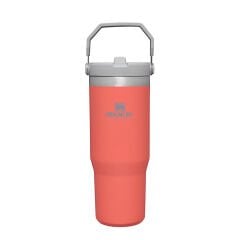Stanley The IceFlow Flip Straw Pipetli Termos Bardak 0,89 LT Mercan
