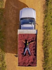 Capadocia Arara Brezilya Speciality Arabica Kahve