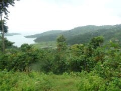 Rwanda/Ruanda Semiwashed Kavrulmuş Kahve